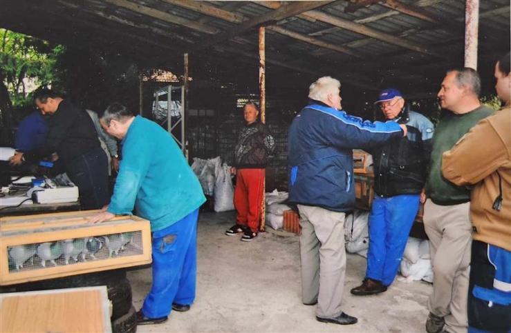 Holubáři Holubáři